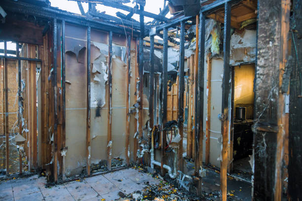 Professional Fire Damage Removal technician working in Ferndale, MD