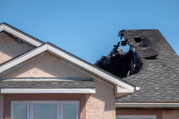 Top rated local Fire Damage Removal specialists in Ferndale, MD